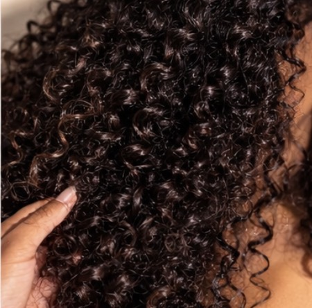Burmese Curly