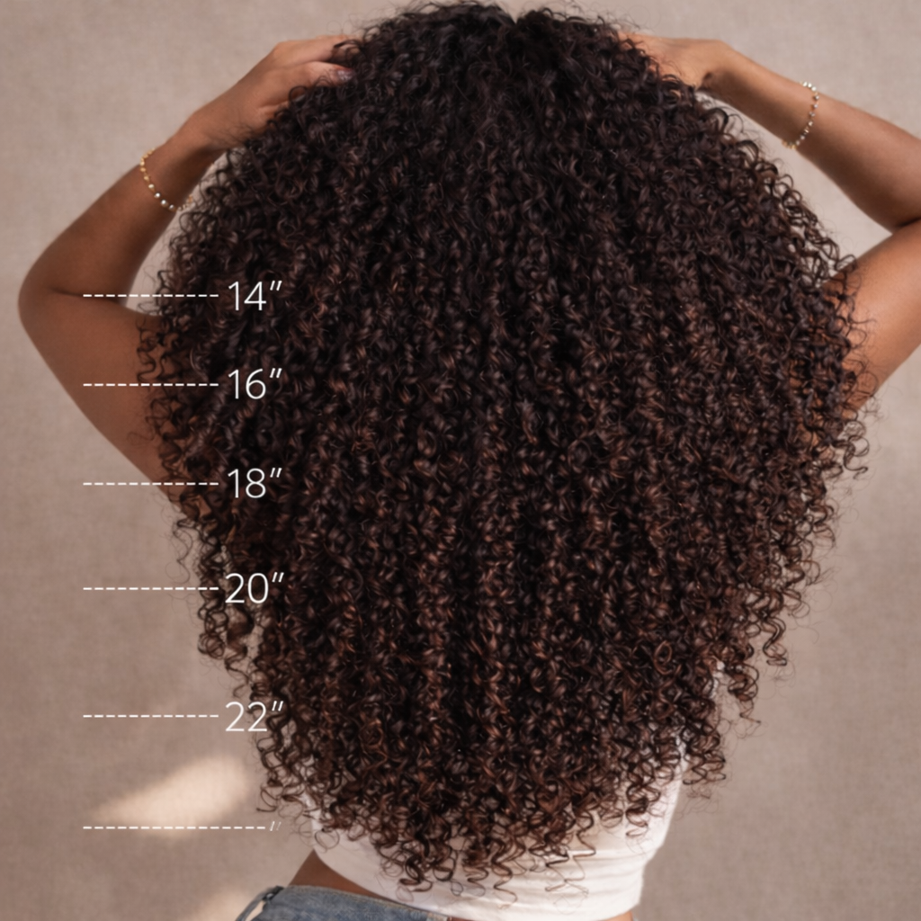 Burmese Curly