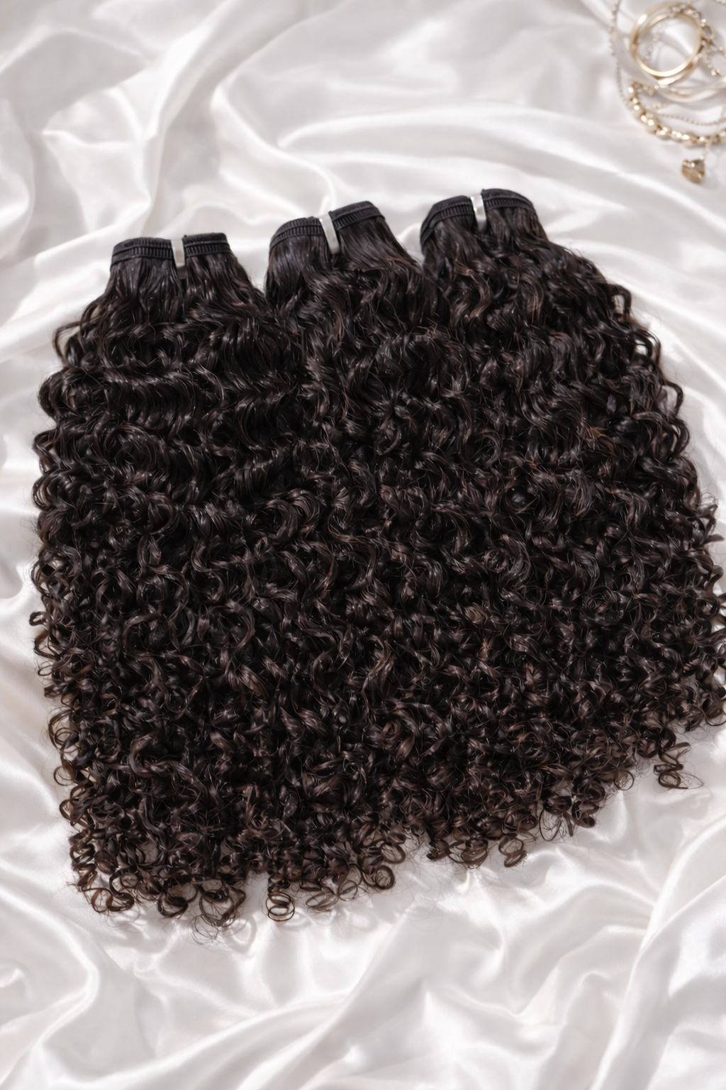Burmese Curly
