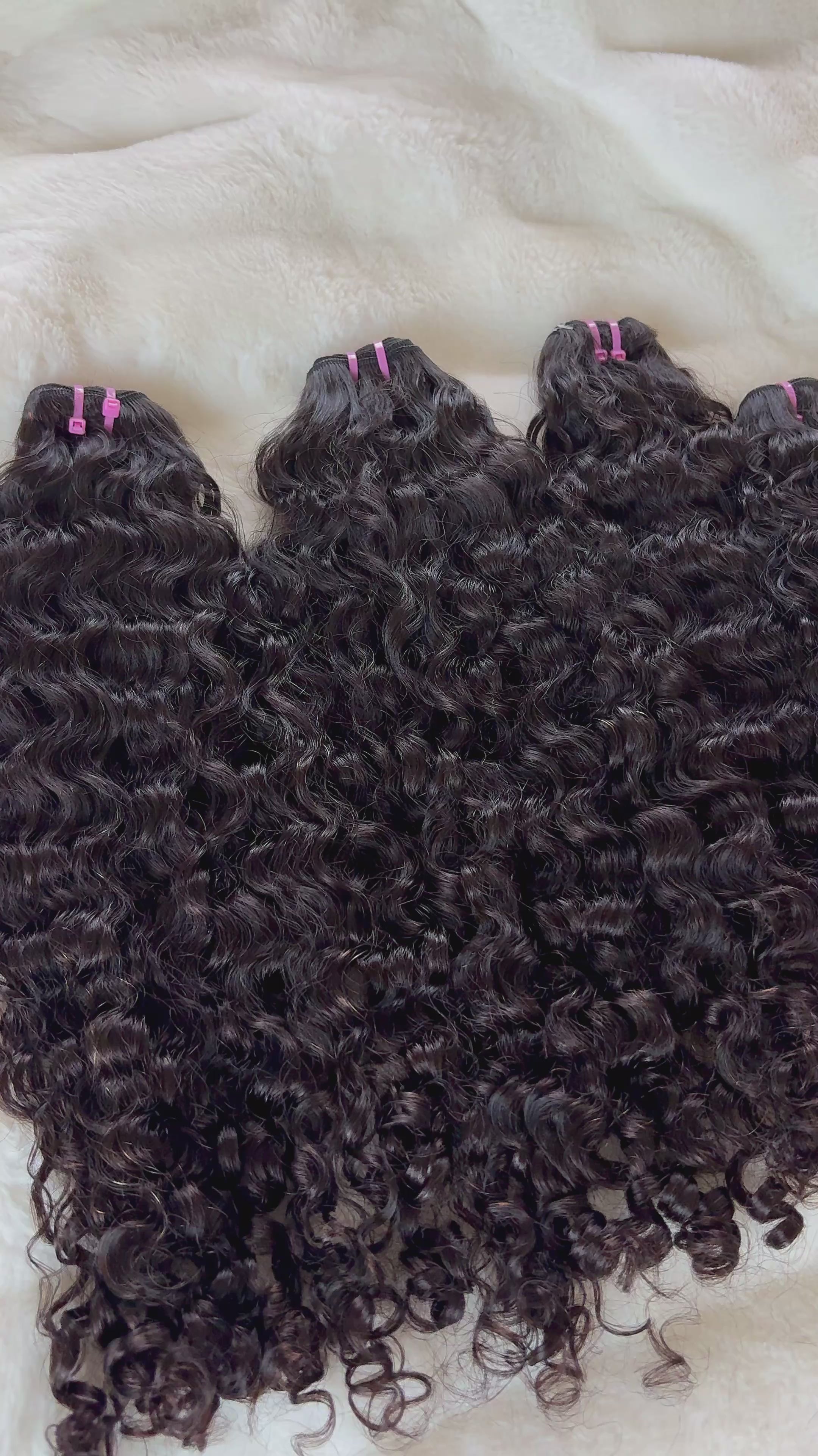 Burmese Curly